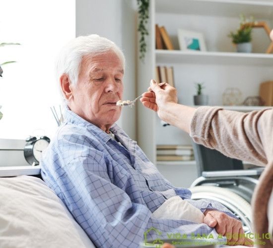 Acompañamiento Hospitalario Vida Sana A Domicilio
