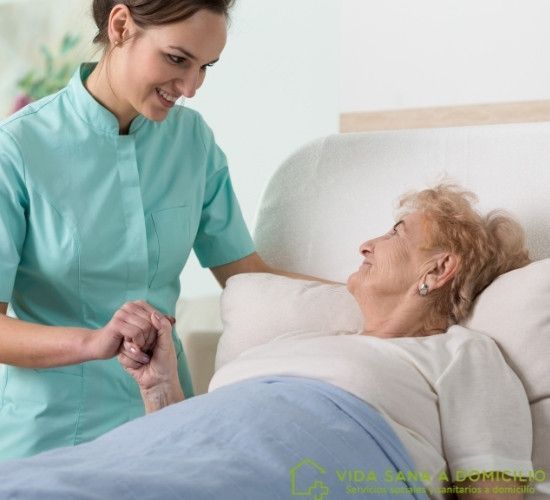 Acompañamiento Hospitalario Vida Sana A Domicilio