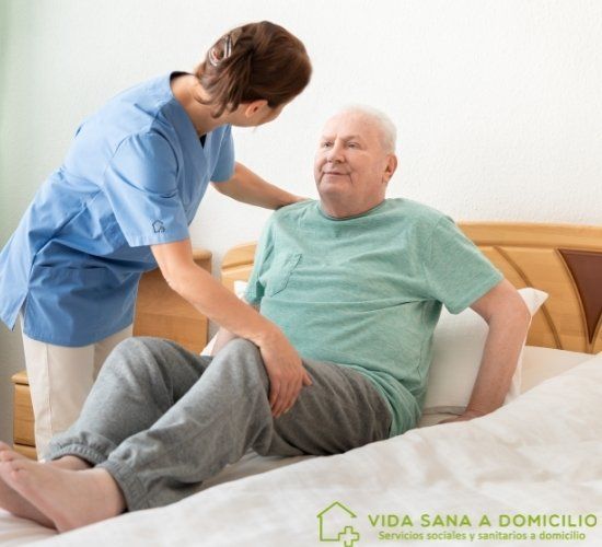 Ayuda a Domicilio Vida Sana A Domicilio