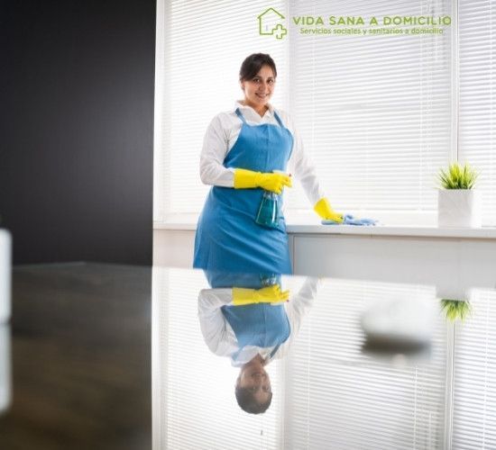 Limpieza a Domicilio Vida Sana